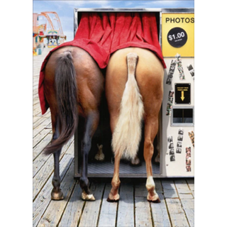 Heste i fotoboks - Avanti sjove/humoristiske f?dselsdagskort