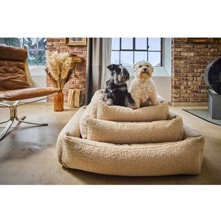 Bouclé-hundeseng Teddy, i forskellige størrelser