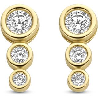 Schneider Basic Ohrstecker - ZS103 - gold