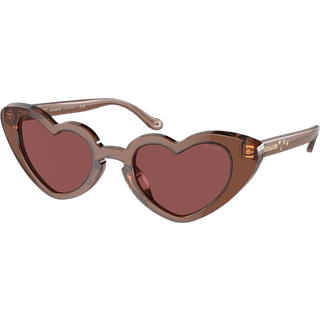 Coach HC8394U CR613 581175 51 Solbriller Kvinder Brun - Transparent Brown - 51mm
