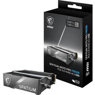 MSI Spatium M570 Pro FROZR M.2 SSD (2 TB)