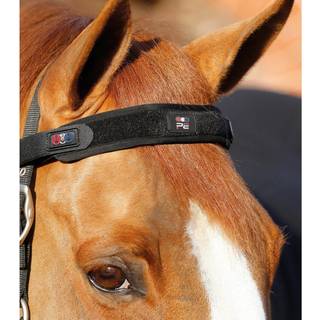 Premier Equine Magni-Teque Magnet pandebånd til hest
