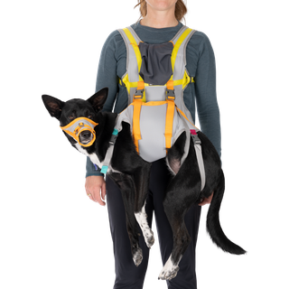Ruffwear BackTrak Dog Evacuation Kit Hundetilbehør størrelse L farve cloudburst gray