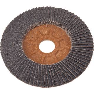 EISENBLÄTTER Plantex lamelskiver 125 mm K40 korn 40 125 x 22 mm (92240)