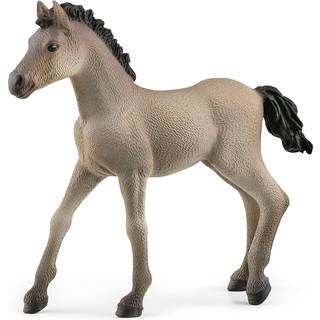Schleich, criollo definitivo-føl [Levering: 1-2 dage]