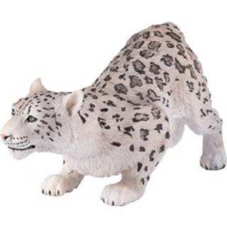 Mojo Sneleopard