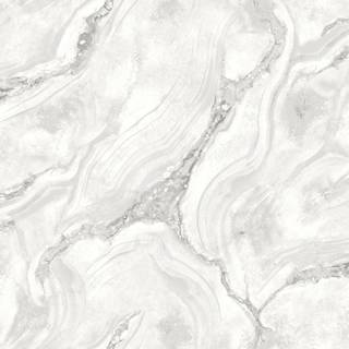 Albany Wallpaper Palmetto 529470