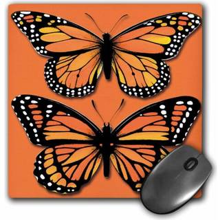 3Drose LLC 8 x 8 x 0,25 tommer musepude To farverige monark sommerfugle p? en matchende orange (MP_170878_1)