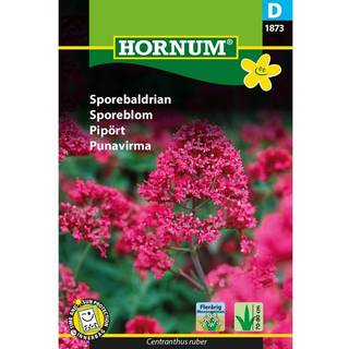 Sporebaldrian - Flerårig blomsterglæde - Blomsterfrø