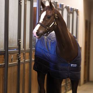Horseware Liner 400 gram Navy