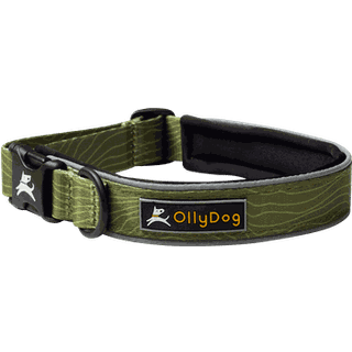 OllyDog Flagstaff Reflective Comfort Collar Cactus, S