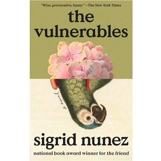 The Vulnerables