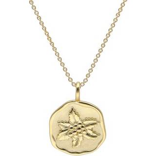 trendor 68002-12 Halskette mit Monatsblume Dezember 925 Silber Vergoldet