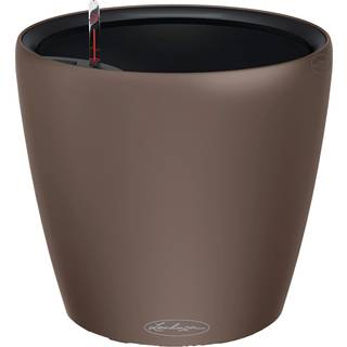 Classico Color LS - Muscat 28 cm