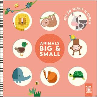 Animals Big & Small