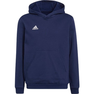 Adidas junior sweatshirt Entrada hoody