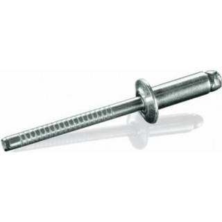 PAJO-BOLTE Blindnitte A2/A2 RH 4,0X25,0 500 stk (7030140250)