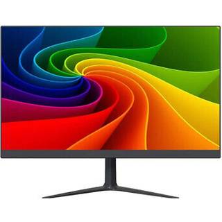 ERNITEC 24" Surveillance monitor