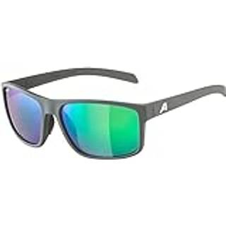 Alpina - Nacan I Polarized  Mirror S3 - Solbriller grå