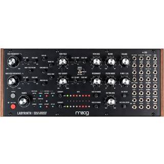 MOOG Labyrinth Synthesizer