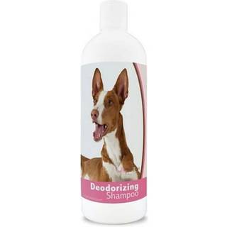 Sunde racer Ibizan Hound Deodorizing Shampoo 16 Oz