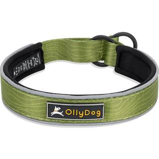 OllyDog Martingale Reflective Comfort Collar Cactus, M
