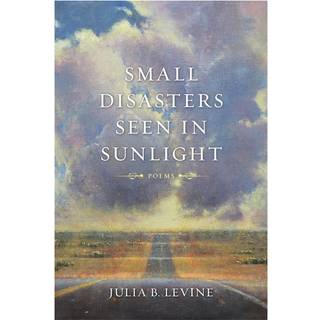 Small Disasters Seen in Sunlight