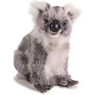 Koala baby 9 ''