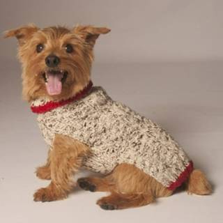 Chilly Dog Oatmeal m/r?d Trim Dog Sweater (Large)