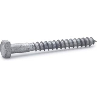 FAST fransk skrue, varmforzinket, 12 x 200 mm - 20 stk.