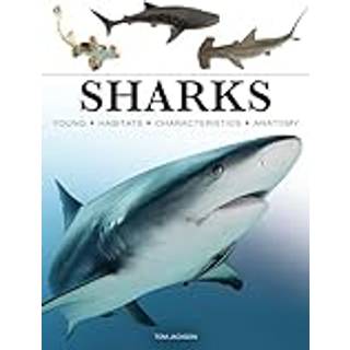 Sharks & Underwater Predators