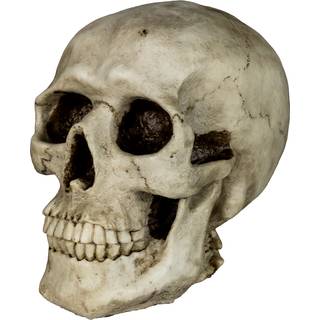 Totenschädel Spardose 19cm