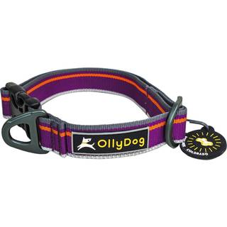 OllyDog Urban Trail Reflective Collar Wild Aster, L