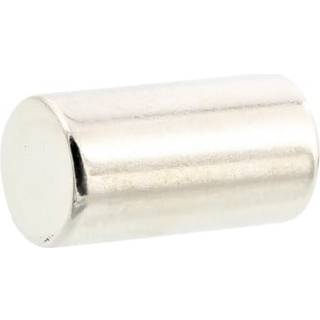 Electrolux magnet, dør, Ø8x15mm 2240076063