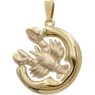trendor 41000-7 Krebs Sternzeichen Anhänger Gold 333 (8 Karat) Ø 21 mm