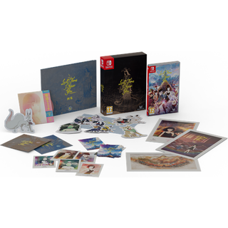 Last Time I Saw You (Special Edition) - Nintendo Switch - Eventyr