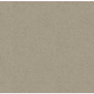 Albany Wallpaper Sinamay 66082