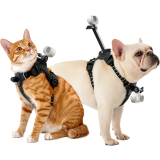 Insta360 GO 3/GO 3S Pet Harness Mount Size M