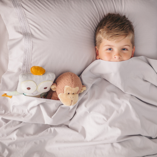 Chanasya Premium Soft Dusty Taupe Gray King Bed Sengs