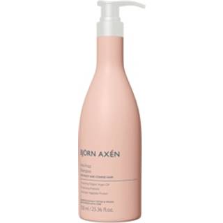 Bjorn-Axen Collection Anti-FrizzShampoo 750 ml (416,00 kr / 1 l) - 750 ml