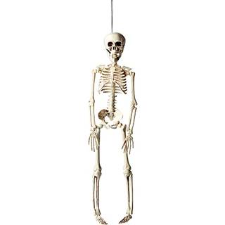 Halloween skelet 40 cm - Hvid