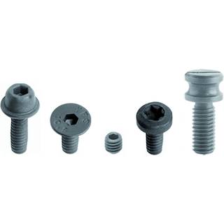 CMT Skrue M4x6 til kugleleje - 990.052.00