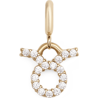 Daniel Wellington DW Zodiac Watch Gold