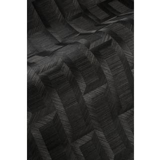 Biseau - Grey Forest