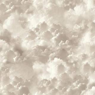 Arthouse Wallpaper Vanilla Skies 100189AH