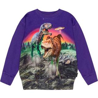 Molo GOTS Mattis Sweatshirt Dino Play 152 cm  Lilla  152 cm  mand
