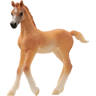 Schleich araberføl 13984 (På lager i butik)
