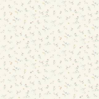 Sommarnatt - Cream