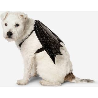 Flagermuskostume til kæledyr