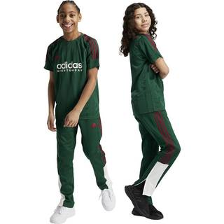 Tiro Nations Pack Kids bukser - Dark Green / Cloud White / Collegiate Burgundy - 152
